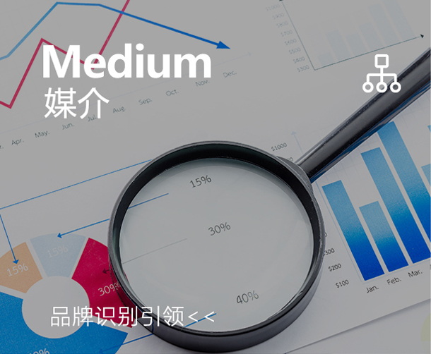 建体系——品牌识别引领