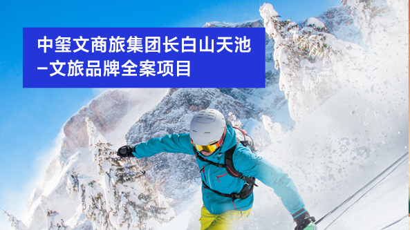 案例四