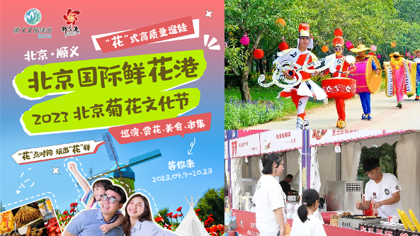 案例五